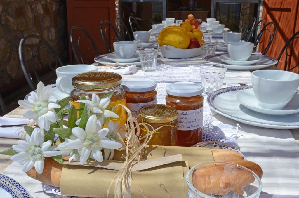 Tenuta Macetona Celle sul Rigo Dış mekan fotoğraf