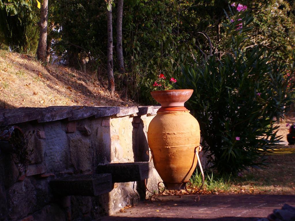 Tenuta Macetona Celle sul Rigo Dış mekan fotoğraf